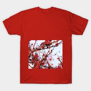 Cherry Blossoms T-Shirt